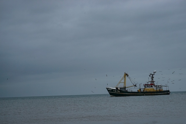 Bild Fischkutter