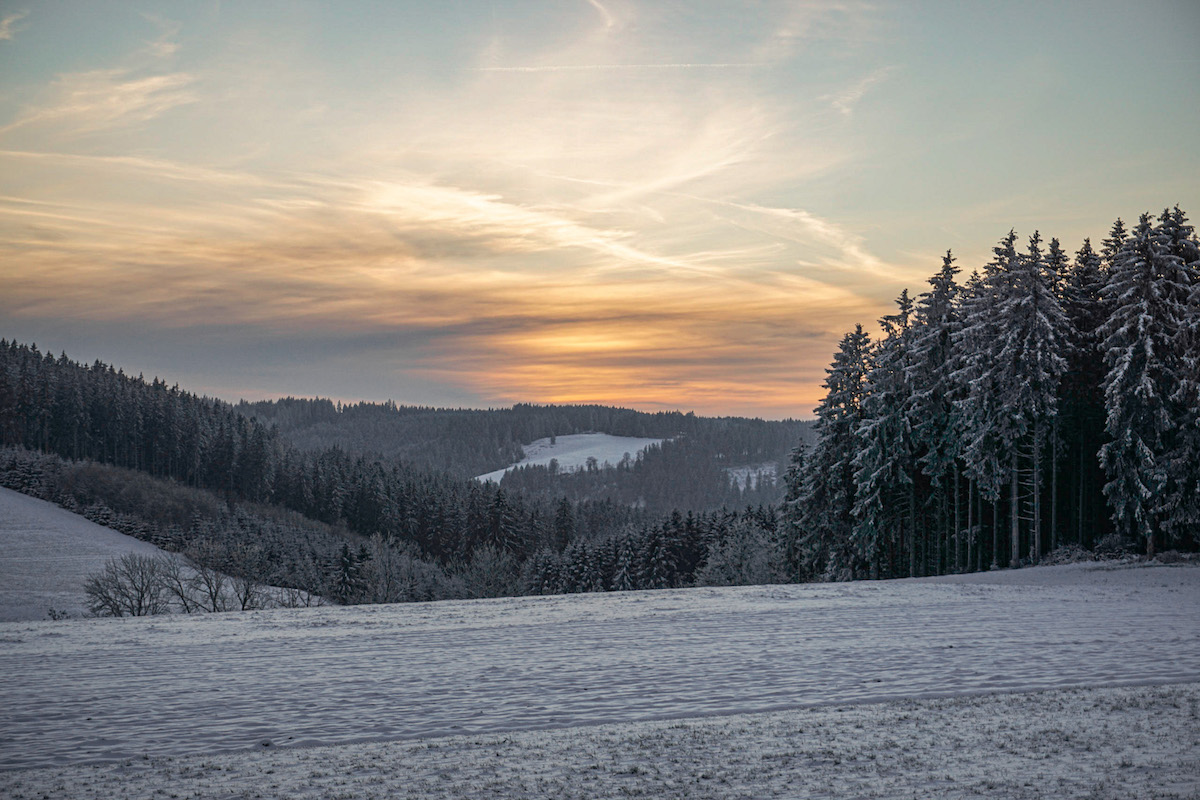 Bild Schwarzwald im Winter